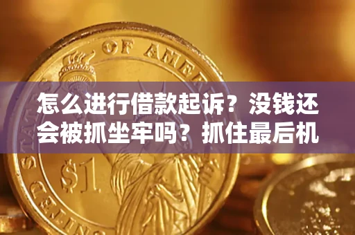 武汉怎么进行借款起诉？没钱还会被抓坐牢吗？抓住最后机会！