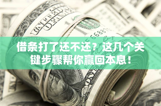 武汉借条打了还不还？这几个关键步骤帮你赢回本息！