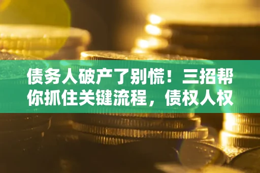 武汉债务人破产了别慌！三招帮你抓住关键流程，债权人权益不再缩水