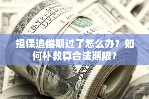 武汉担保追偿期过了怎么办？如何补救算合法期限？