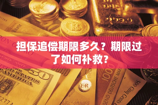 武汉担保追偿期限多久？期限过了如何补救？