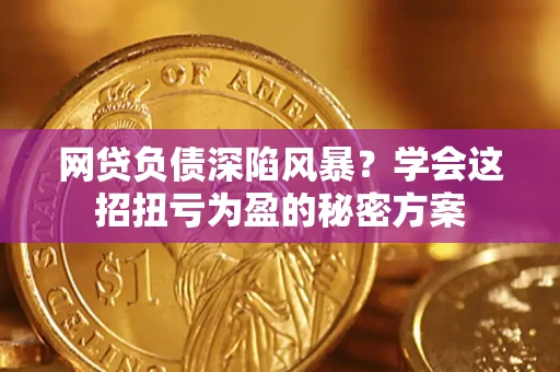 武汉网贷负债深陷风暴？学会这招扭亏为盈的秘密方案